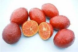 Blood Limes 3