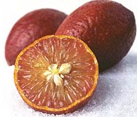 Blood Limes 2