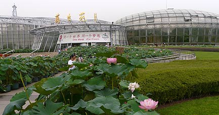 Botanic Garden glasshouse, Beijing