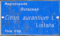 Listata