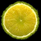 Round Lime cross section