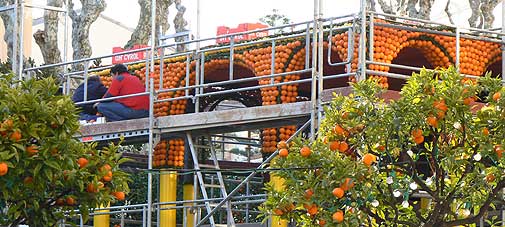 citrus pavilions under construction