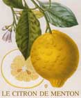 booklet Menton Lemon