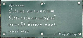 vrucht bitter-sweet label