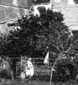 enlargement from Old postcard Arancio di S. Domenico