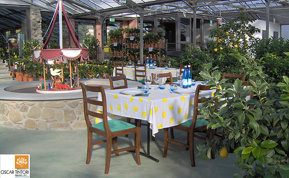 Groups can arrange to take brunch in the citrus garden