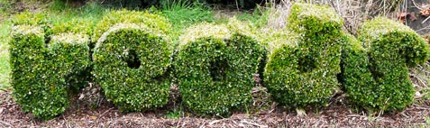 Reads topiary text