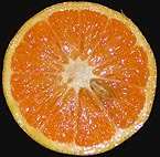 cut Golden Special grapefruit