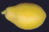 Diamonte citron