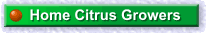 To website index