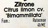 Lemon Bimammilata label