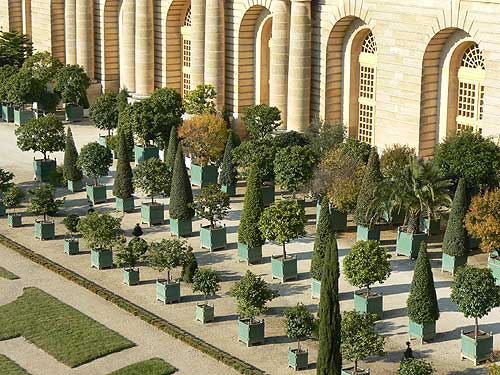 Versailles Orangerie 1