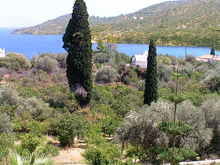 Lemonodasos general view